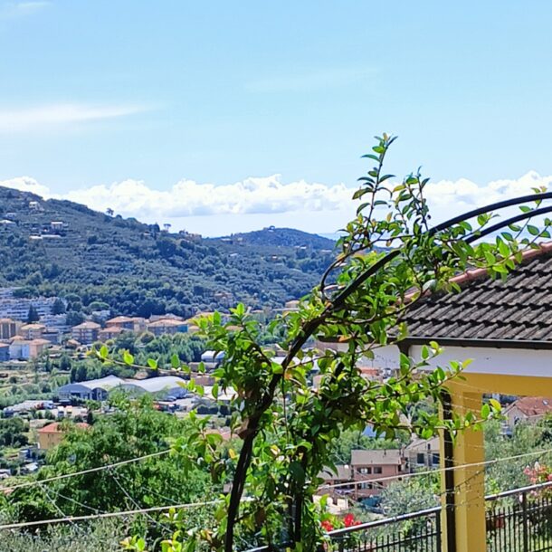 le drupe - case vacanza a chiavari