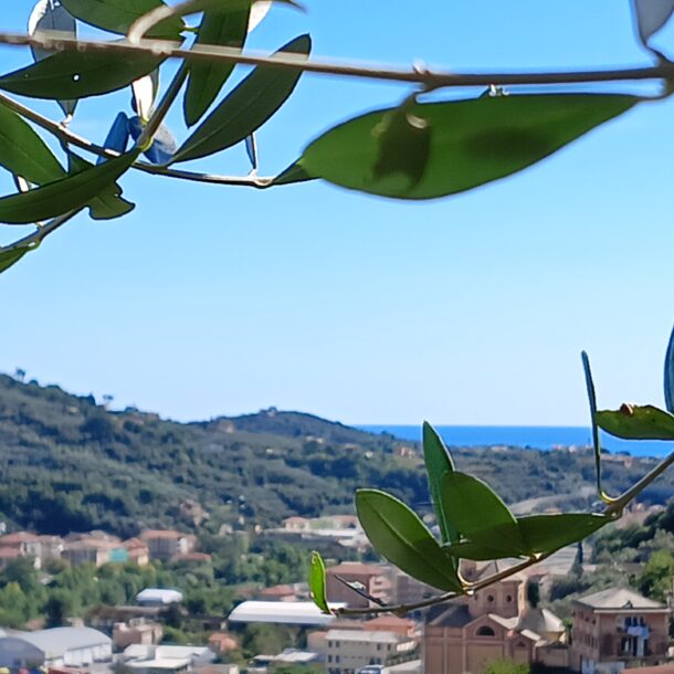 le drupe - case vacanza a chiavari