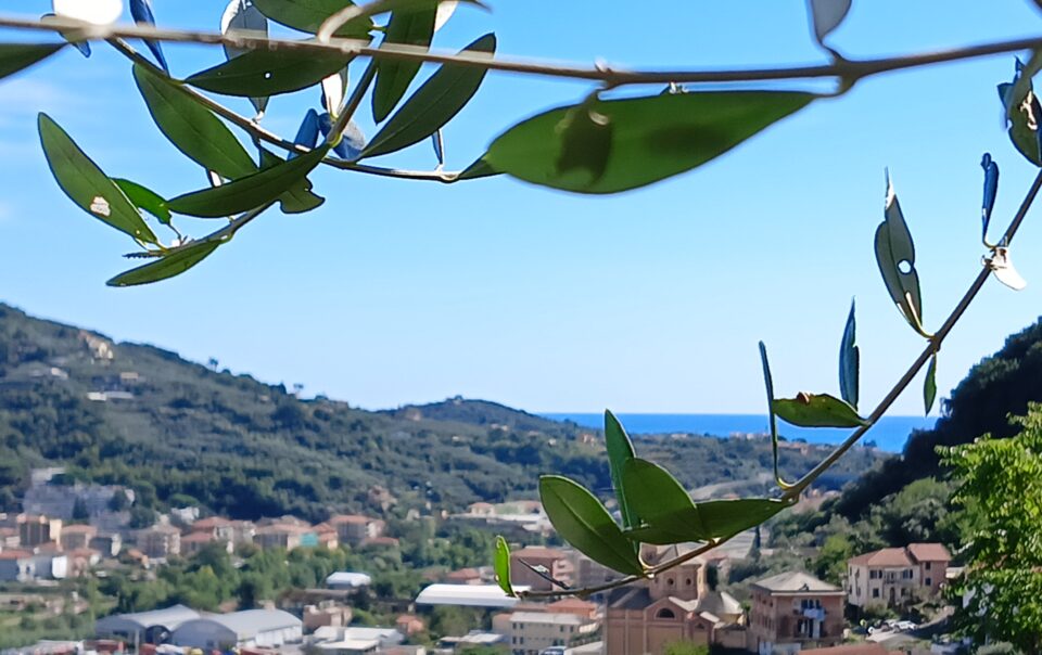 le drupe - case vacanza a chiavari
